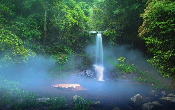 虫虫助手下载